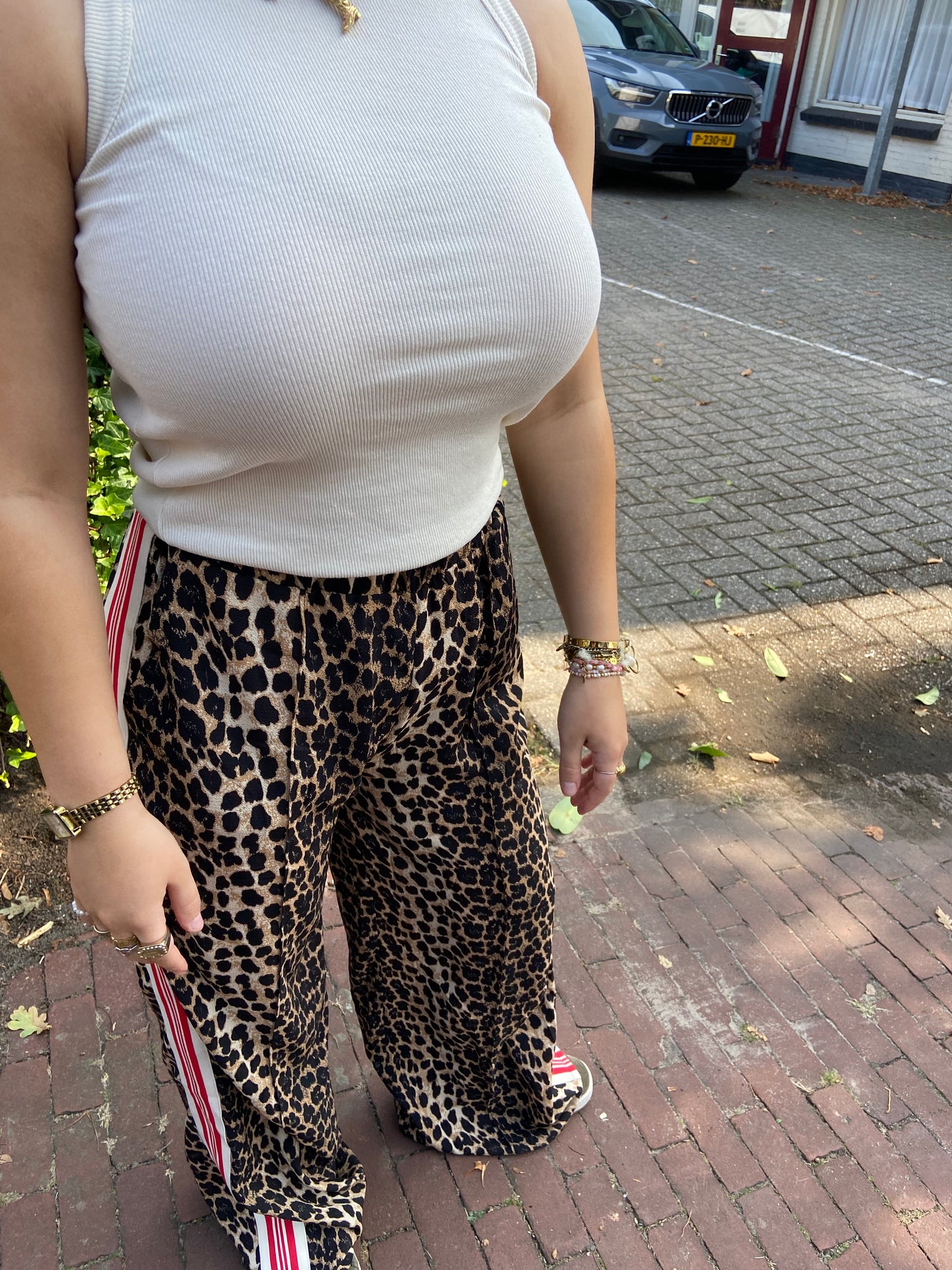 Broek Panter